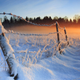 Imagen: RomGams/Shutterstock